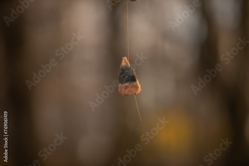 a pebble on a string