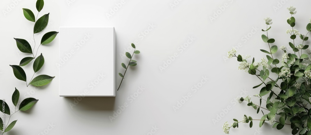 Naklejka premium Mock-up Template on White Background for Your Design, .
