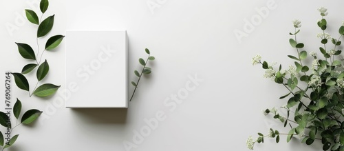 Mock-up Template on White Background for Your Design, .