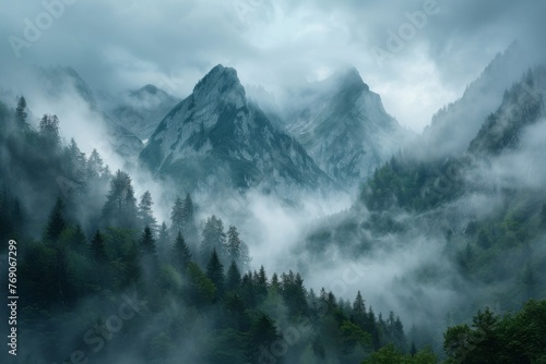 Cloud covers mountain with trees in foggy natural landscape