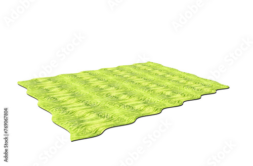 Drawing of a green flying carpet from a fairy tale - on isolated transparent background. photo