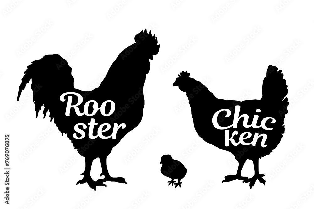 Fototapeta premium Chickens, rooster, chick silhouettes with lettering. Domestic chicken family, poultry egg farming. Isolated on white. Vector illustration for farming products package, poster, banner, card design