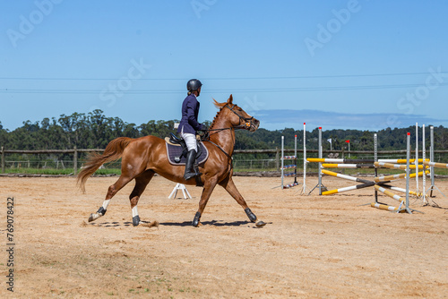 Equestrian Competition 16