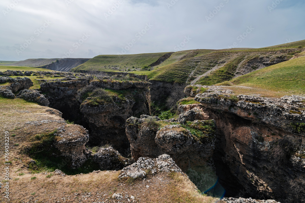Fototapeta premium Landscape with green valley with gorge of Aksu canyon in Kazakhstan in spring