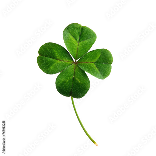 Green clover leaf isolated on transparent background.