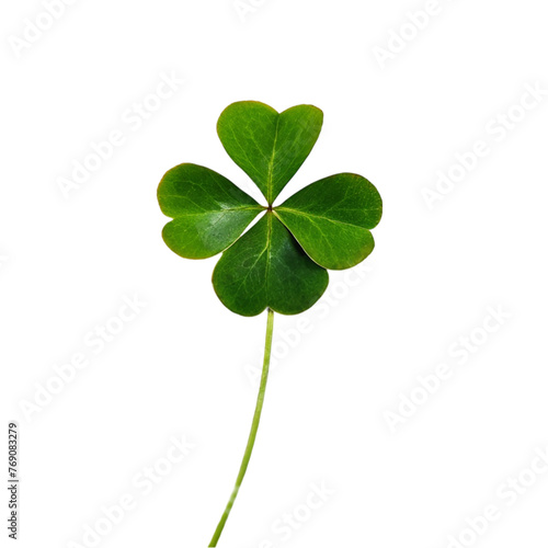 Green clover leaf isolated on transparent background.