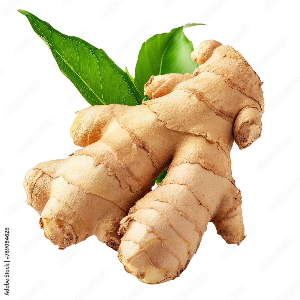 Ginger isolated on white transparent background. Ginger isolated on white transparent background.