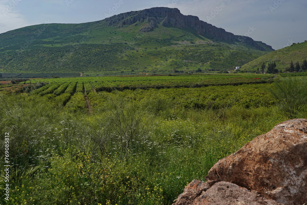 Arbel mountain by the Sea of Galilee, Israel, with agriculture fields in the foreground