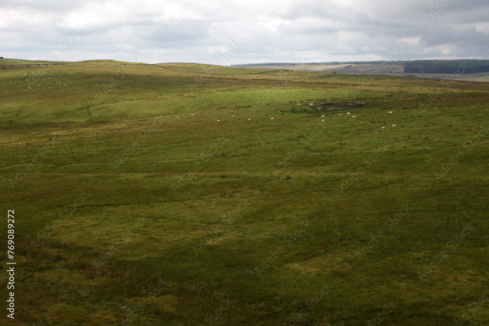 Along the Hadrian's wall between Twice brewed and Chollerford - Northumberland - England - UK Along the Hadrian's wall between Twice brewed and Chollerford - Northumberland - England - UK