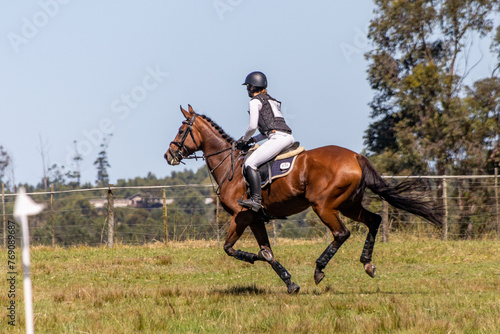 Equestrian Competition 28