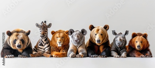 A group of animals are grouped together on a white background