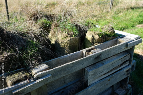 FU 2022-10-09 Blumenfeld 58 In der Holzkiste sind gerollte Grassoden photo