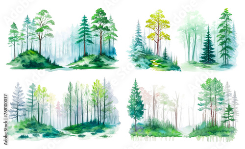 Set of Spring or Summer Forest Watercolor. Forest landscape isolated on white background. Hand painted watercolor illustration of misty forest. Wild nature. For design, wallpaper, banner, poster