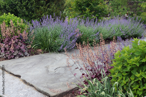 A stone garden path edged with perennials, including heuchera (coral bells) and 'Walker's Low' catmint (Nepeta 'Walker's Low')