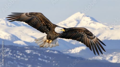  a bald eagle flying in front of a mountain range with snow capped mountains in the background in the foreground. © Liel
