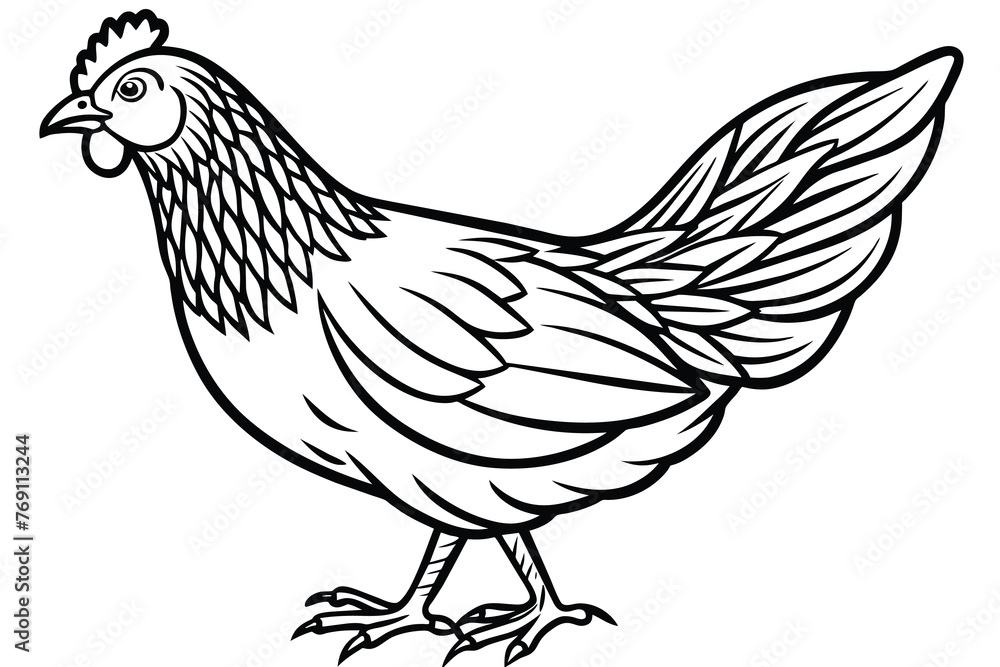simple chicken illustration design line art illustration vector simple chicken illustration design line art illustration vector