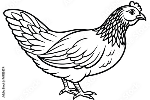 simple chicken illustration design line art illustration vector © MRSNURGAHAN