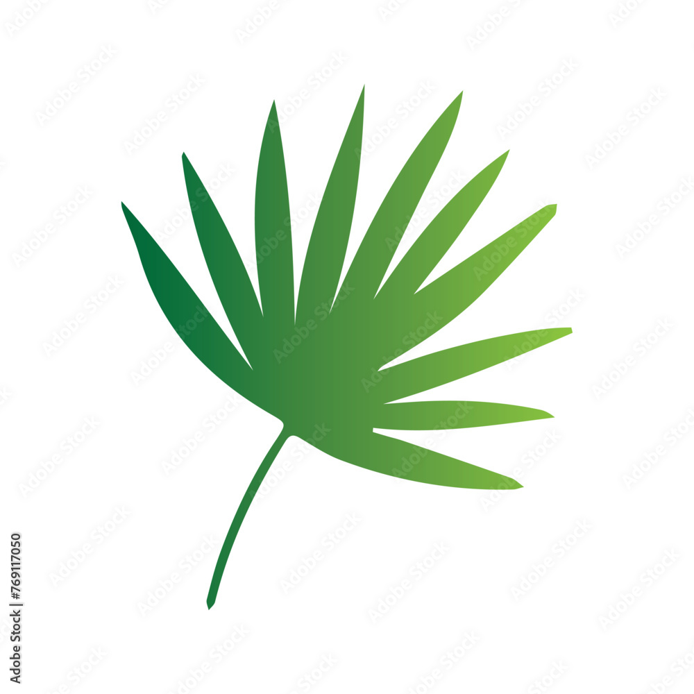 Fototapeta premium Leaves of tropical trees, ferns, exotic leaves, stamp, leaf shape, leaf stencils, color gradient, element, bright sticker, design with graphic symbols of the logo, the ability to change color and size