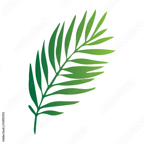 Leaves of tropical trees  ferns  exotic leaves  stamp  leaf shape  leaf stencils  color gradient  element  bright sticker  design with graphic symbols of the logo  the ability to change color and size