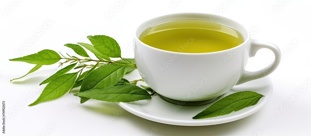 A tea cup filled with Gyokuro green tea, showcasing green leaves on a saucer as part of the dishware and drinkware set A tea cup filled with Gyokuro green tea, showcasing green leaves on a saucer as part of the dishware and drinkware set