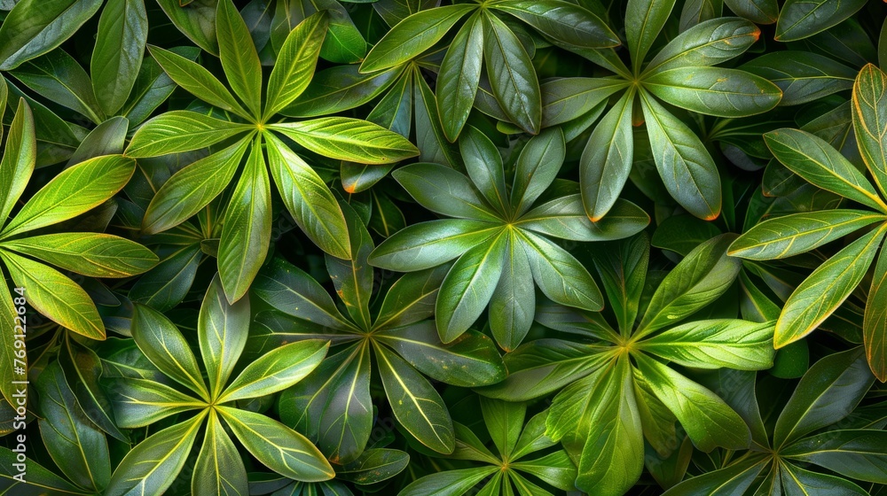   A close-up of lush green foliage, showcasing an abundance of verdant leaves atop the vegetation - obrazy, fototapety, plakaty 