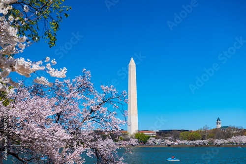 Traditional spring festival of Japanese cherry blossoms. Tidal Basin and Washington Monument. Cherry blossoms in Washington DC.