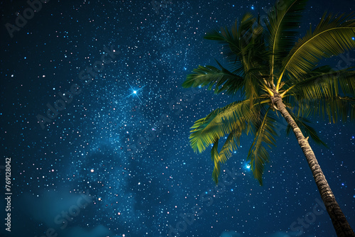 Palm tree from below against  a twinkling starry night sky