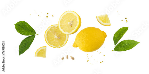 Fresh lemon fruit whole and slices with leaves and drops falling flying isolated on white