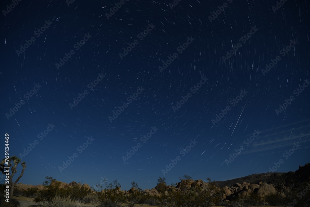 Fototapeta premium Star Track at Joshua Tree