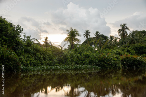 cauce del rio Klias en Borneo, hábitat del Mono narigudo (Nasalis larvatus) photo