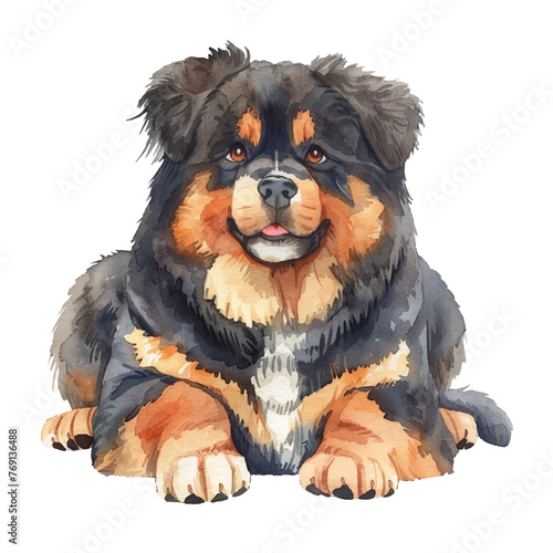 cute tibetan mastiff vector illustration in watercolour style