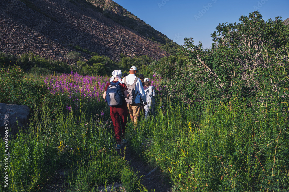 group of people tourists travelers with backpacks on a hike in a field in the mountains in nature in summer