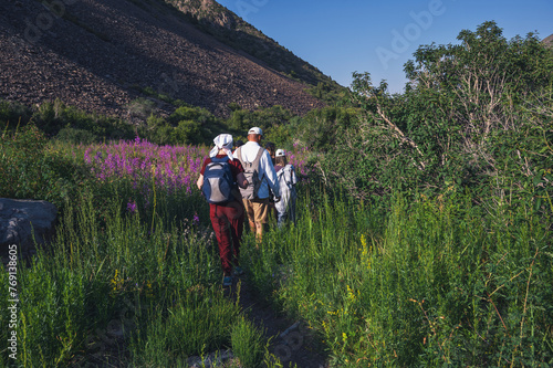group of people tourists travelers with backpacks on a hike in a field in the mountains in nature in summer © alexkoral