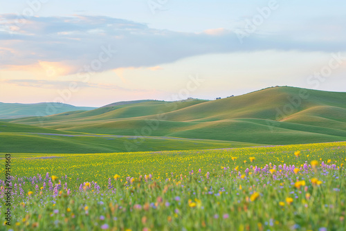 Beautiful Tuscany landscape with field of flowers photo