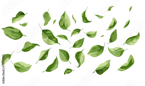 Green leaves flying in the wind vector illustration on white background