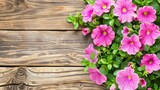 a bunch of pink flowers sitting on top of a wooden table next to a planter filled with green leaves.