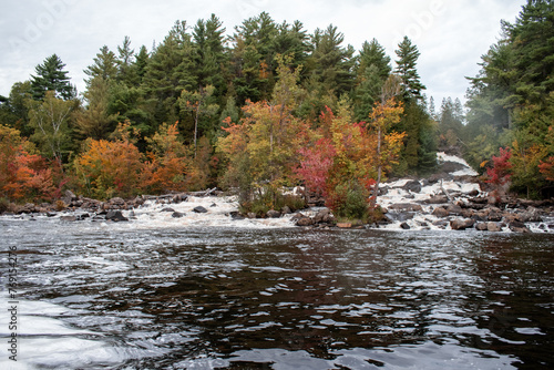 Mountain river in autumn with colorful trees and rocks in the foreground. Ontario  Canada.