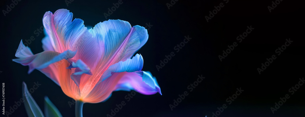 A flower with a purple and blue hue is the main focus of the image. The flower is surrounded by a dark background, which creates a sense of depth and contrast. The colors of the flower are vibrant A flower with a purple and blue hue is the main focus of the image. The flower is surrounded by a dark background, which creates a sense of depth and contrast. The colors of the flower are vibrant