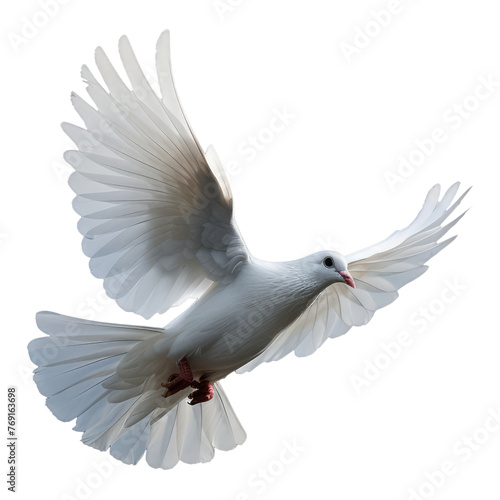 white dove flying in the air, cutout, png isolated transparent background