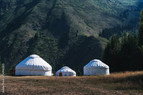 traditional houses of Asian nomads yurts in a field near a spruce forest in summer in the Tien Shan mountains in Kazakhstan