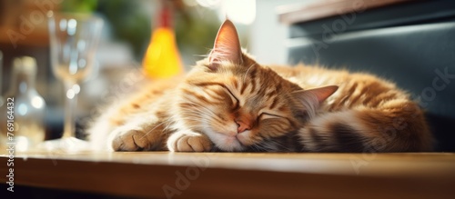 A domestic shorthaired cat with whiskers and fur is peacefully sleeping on a table next to a glass of wine, showcasing its carnivore nature as a member of the Felidae family
