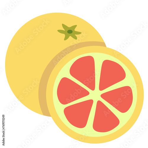 color isolated citrus fruit grapefruit in flat style in vector. image of natural healthy eco food.template for logo sticker poster print decor design