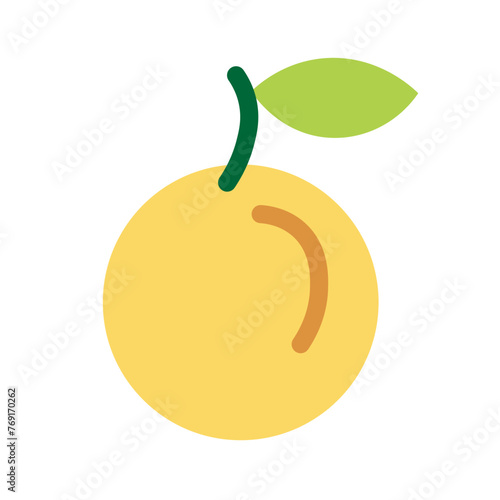 color isolated apricot fruit in flat style in vector. image of natural healthy eco food.template for logo sticker poster print decor design