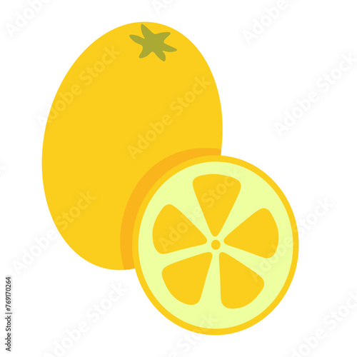 color isolated citrus fruit Kumquat in flat style in vector. image of natural healthy eco food.template for logo sticker poster print decor design