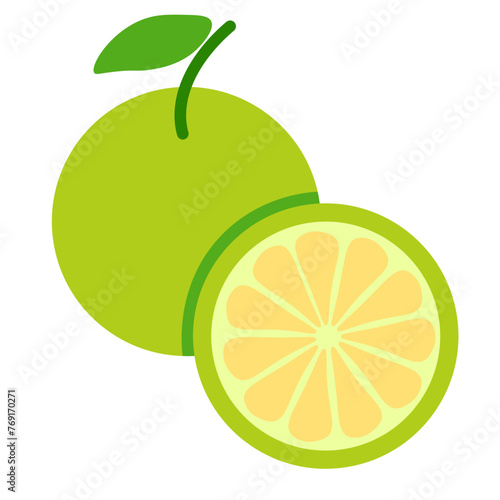 color isolated citrus fruit oro blanco in flat style in vector. image of natural healthy eco food.template for logo sticker poster print decor design
