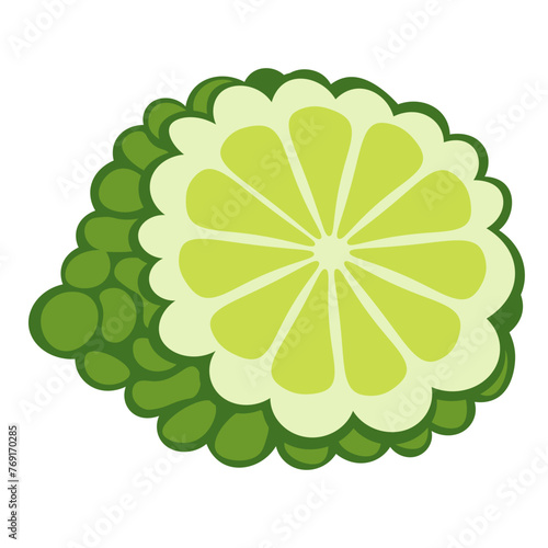 color isolated citrus fruit makrut lime in flat style in vector. image of natural healthy eco food.template for logo sticker poster print decor design
