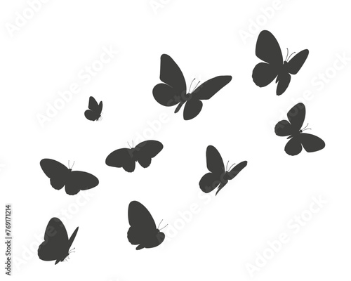  butterflies flying buterfly flok photo