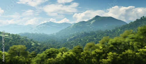 Scenic view of a vast mountain range covered with trees stretching into the distance where majestic mountains can be seen