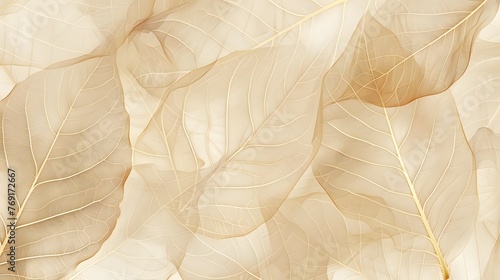 Nature abstract of flower petals  beige transparent leaves with natural texture as natural background  wide banner. Macro texture  neutral color aesthetic photo with veins of leaf  botanical design. 