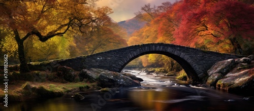 Amidst the natural landscape of a forest, a bridge crosses over a serene river. The setting is like a painting with trees, clouds, and the sky in the background